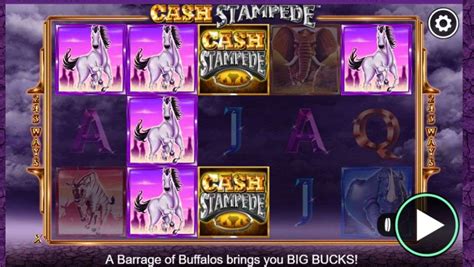 cash stampede casinos